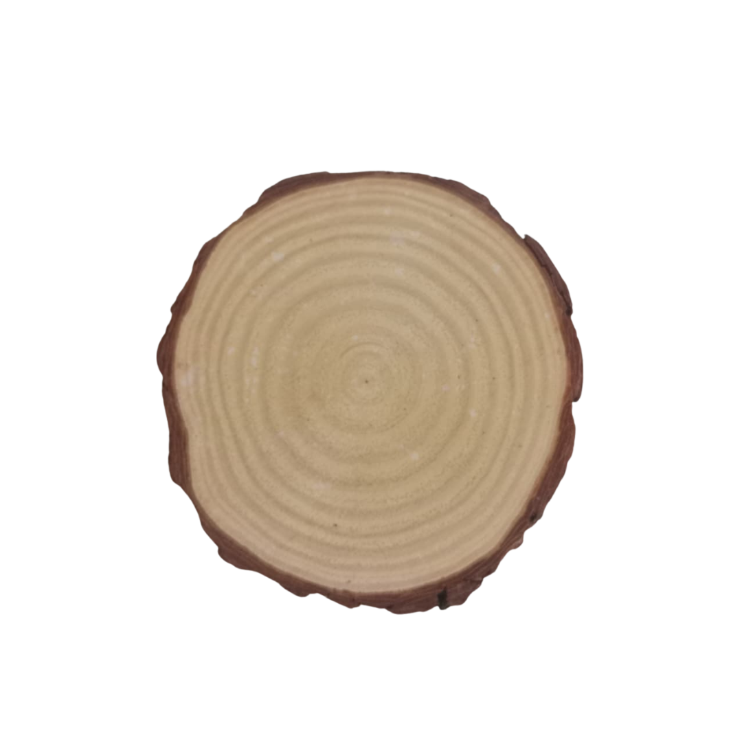 Natural Wooden Log Slice – Round Wood Disc for DIY Crafts, Home Décor, Painting & Wedding Decorations
