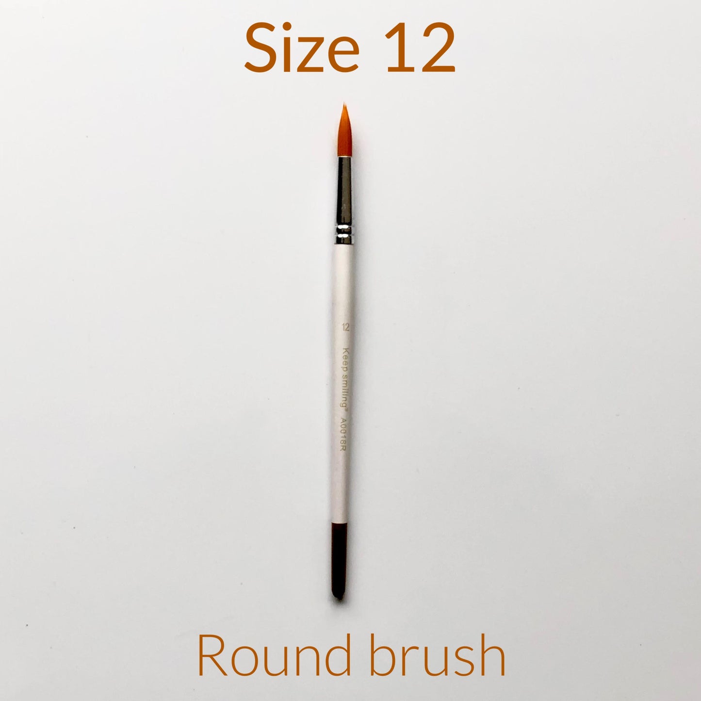 size 12 brush